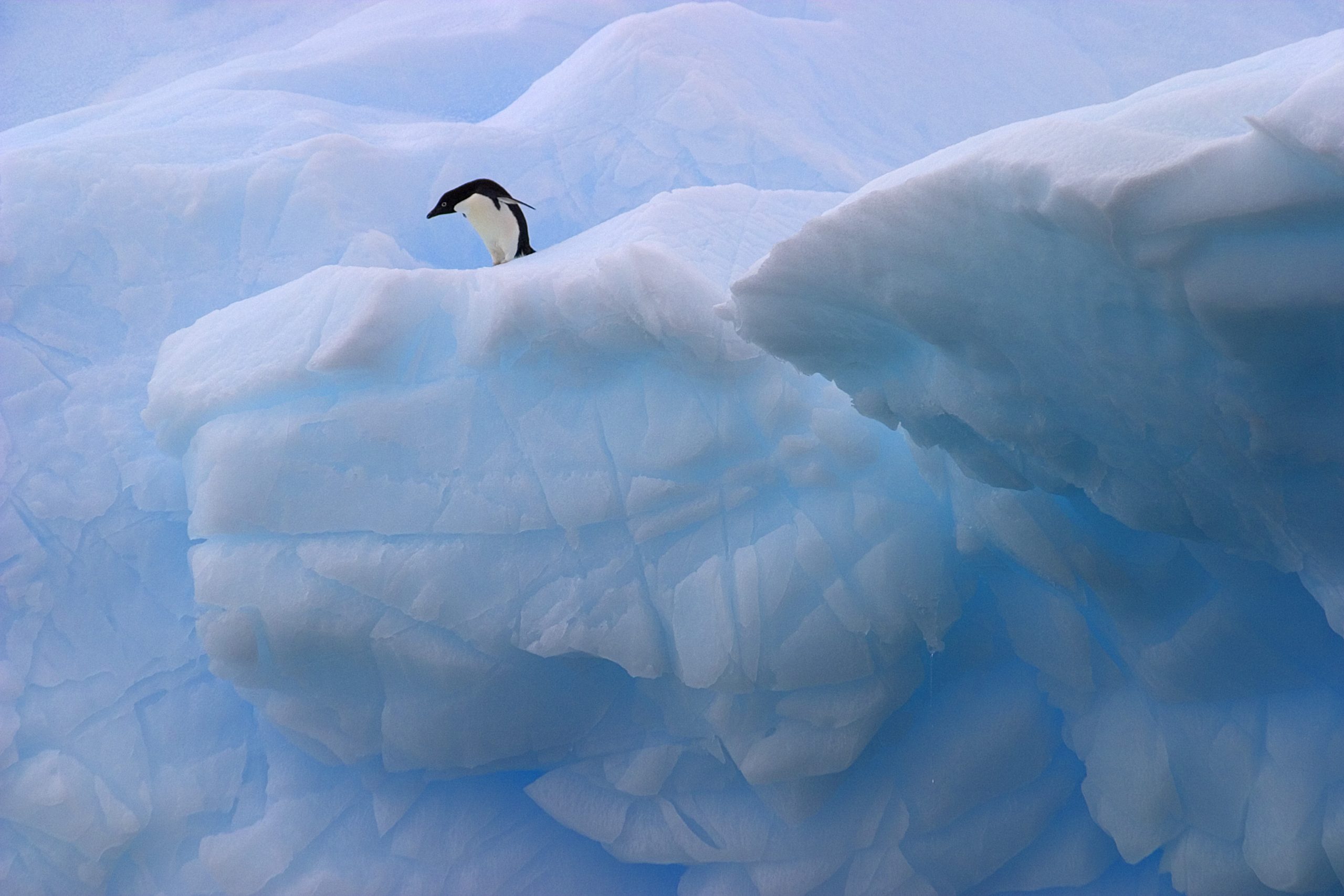 Antarctica: Land of Frozen Beauty