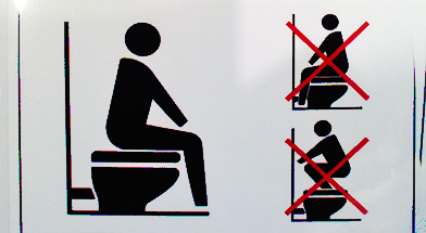 “Going” Abroad: Toilets Around the World