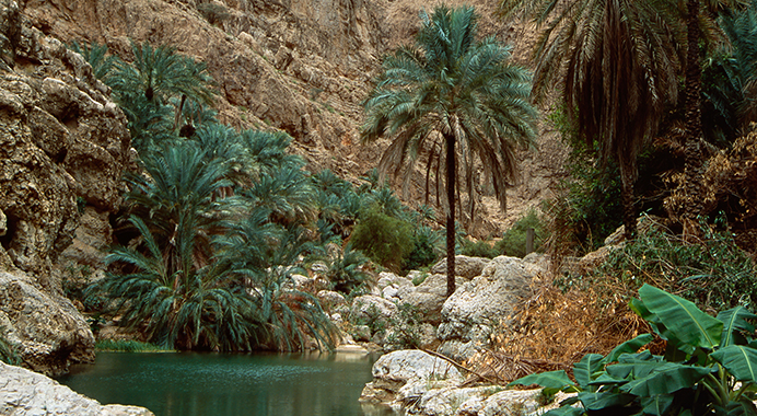 Canyoneering in Oman: Rock On