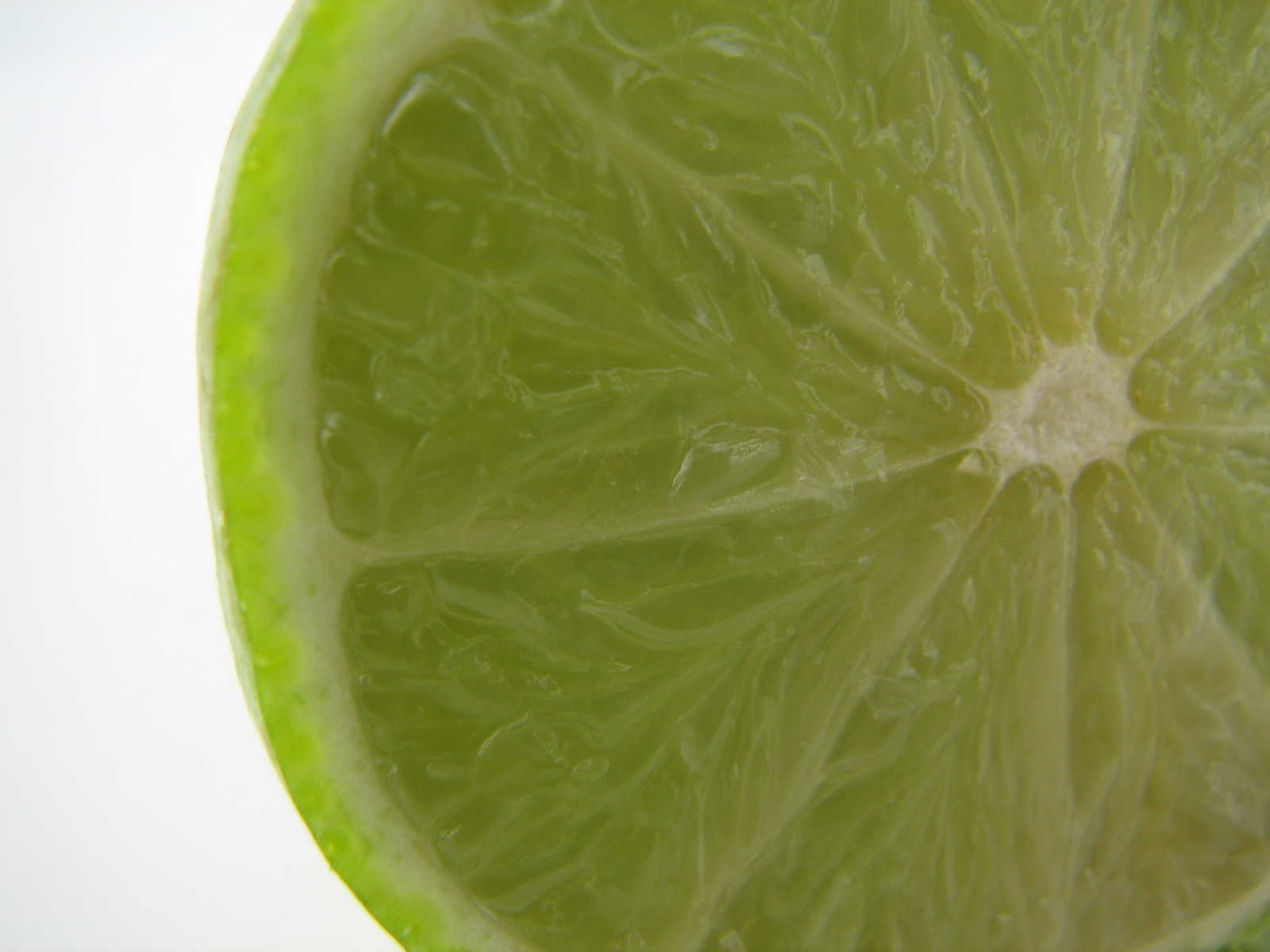 Limes: Four Corners of the Kitchen