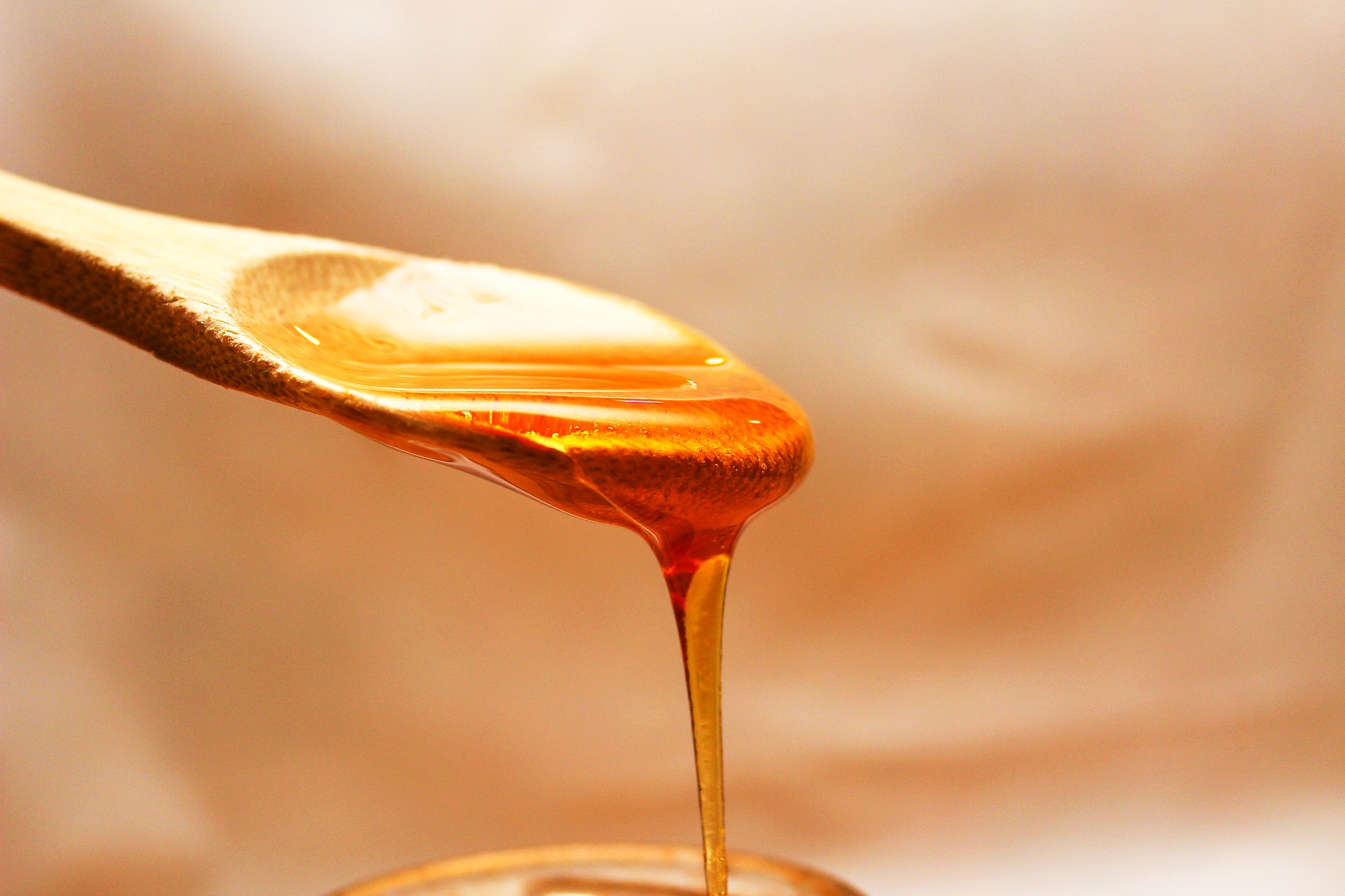 Honey: Four Corners of the Kitchen