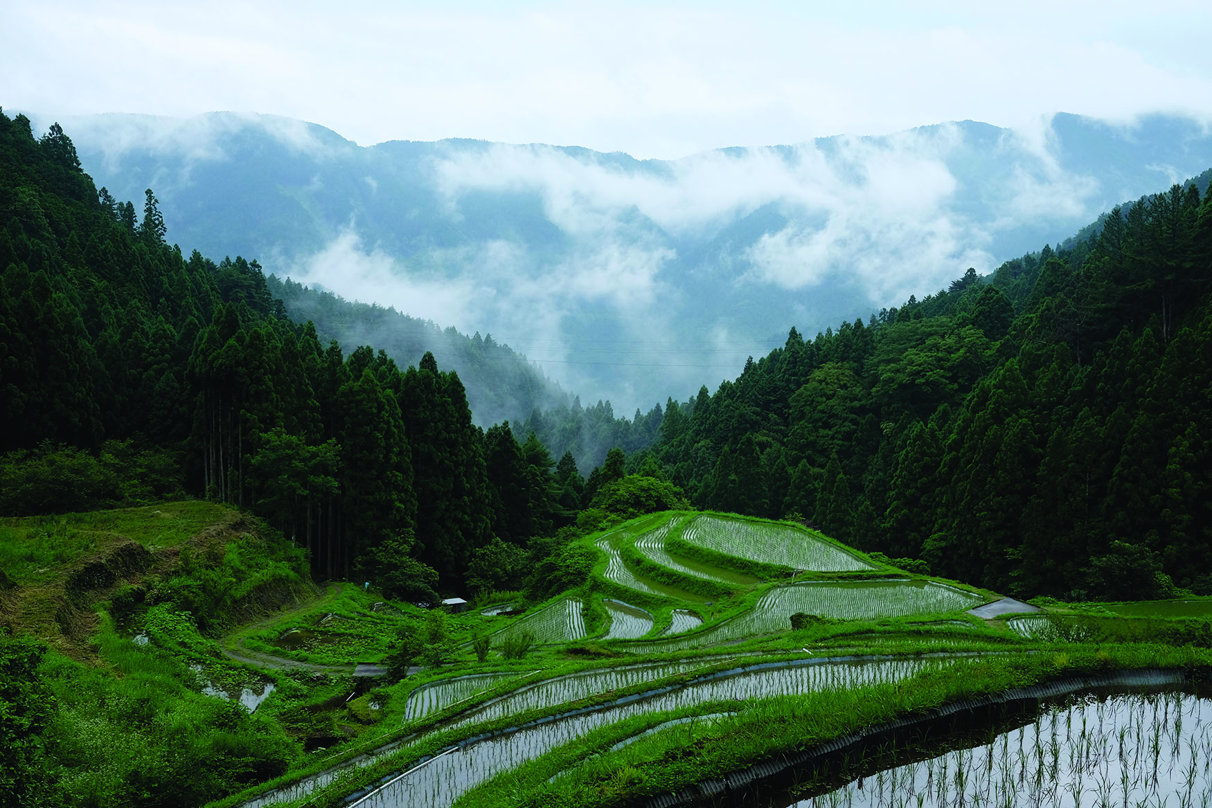 The Shikoku Pilgrimage: A Traveler’s Guide
