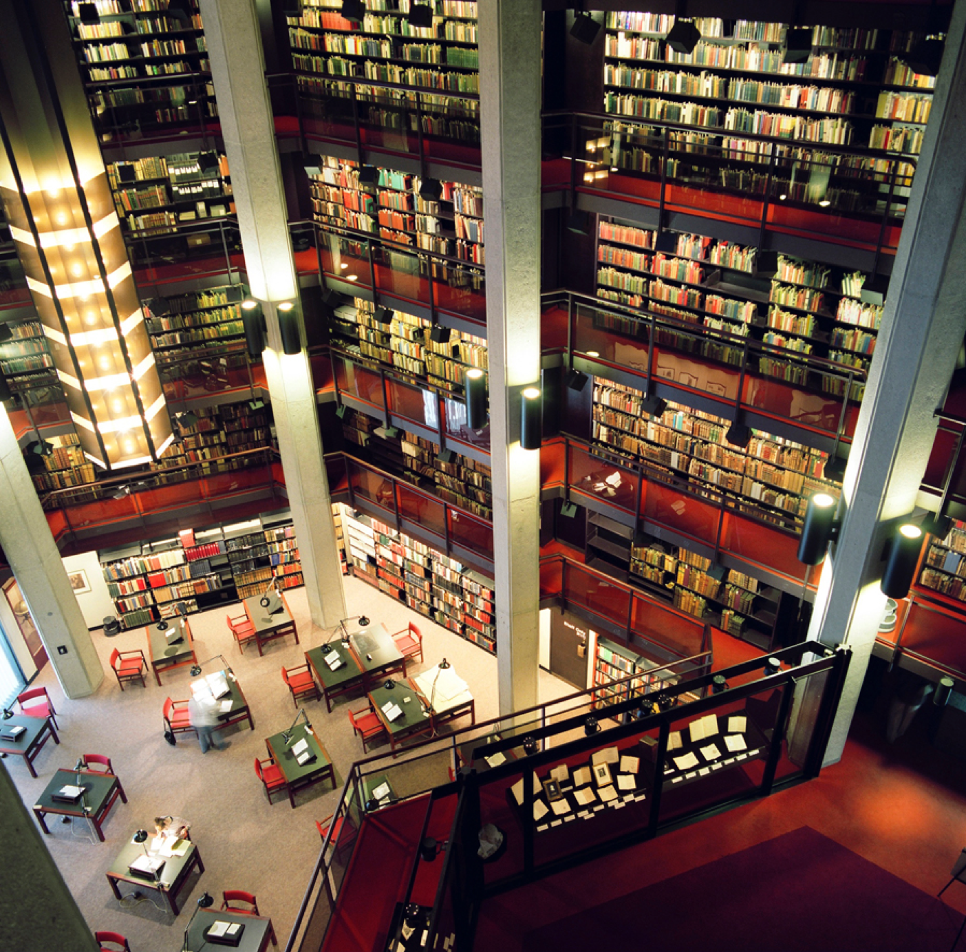 The Libraries of Your Dreams