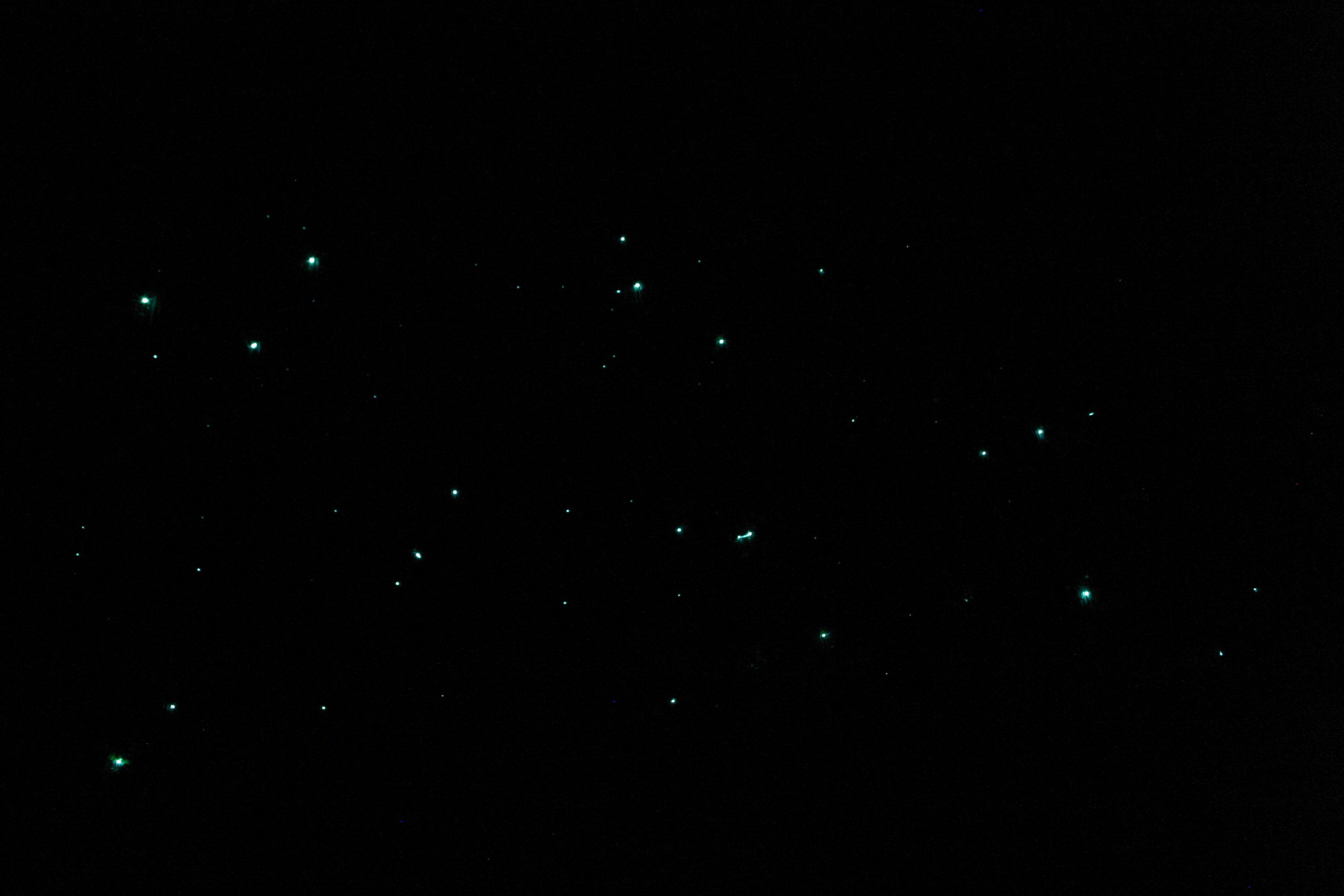 Glow Worms in Alabama