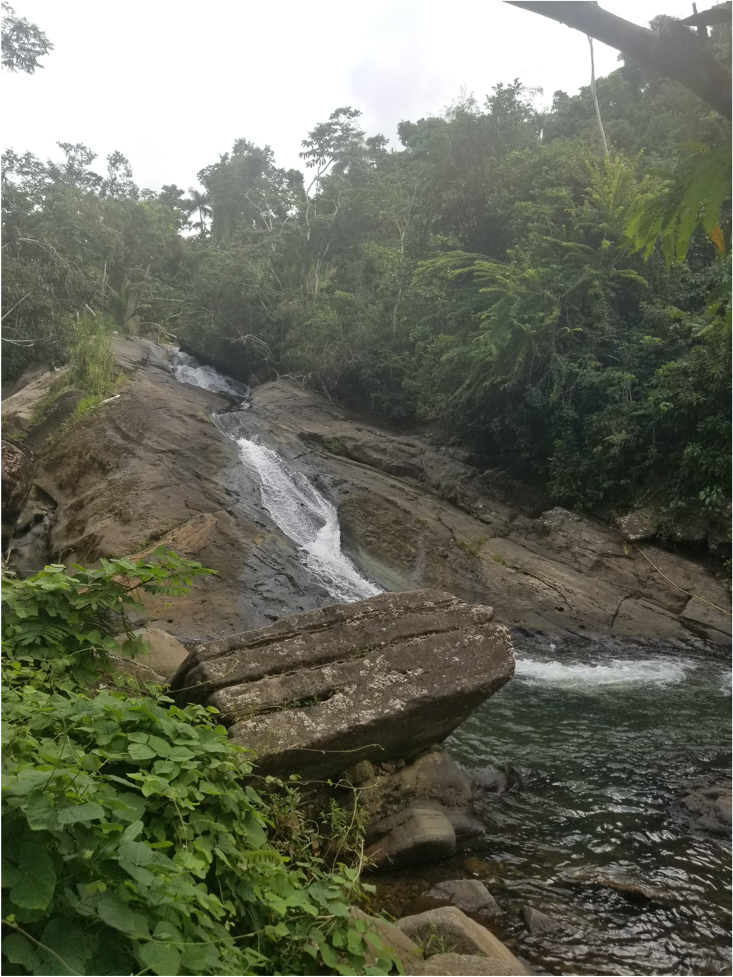A natural waterslide in Puerto Rico